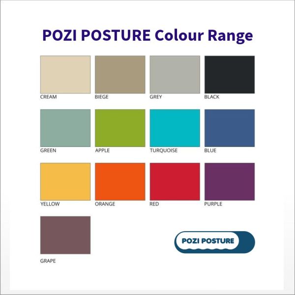 Pozi Posture Professional Cushion Colour Range